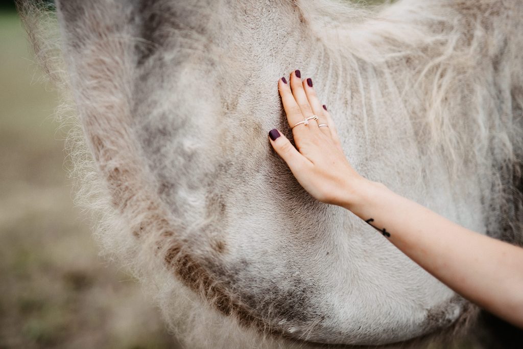 Styled Weddingshoot Camel-Love Streicheln Pretty Beautiful Events